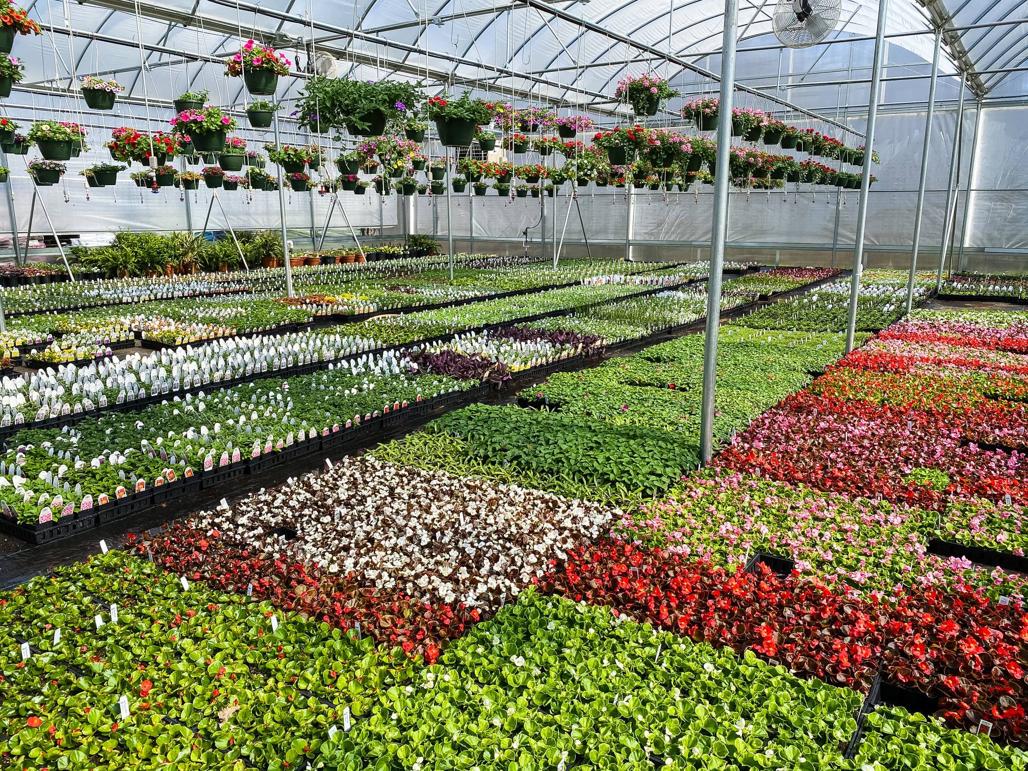 Mitchell's Nursery - For Landscapers